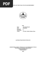 Download INOKULASI VIRUS PADA TELUR AYAM BEREMBRIOdocx by Syifa Uziah Rosadi SN330233866 doc pdf