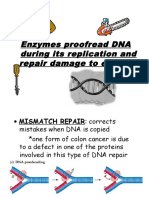 DNA repair by enzymes - proofreading and correcting damage