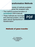3 Plant Transformation Methods