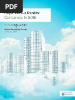 Cloud Foundry 2016 Container Report