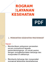 Program Pelayanan Kesehatan