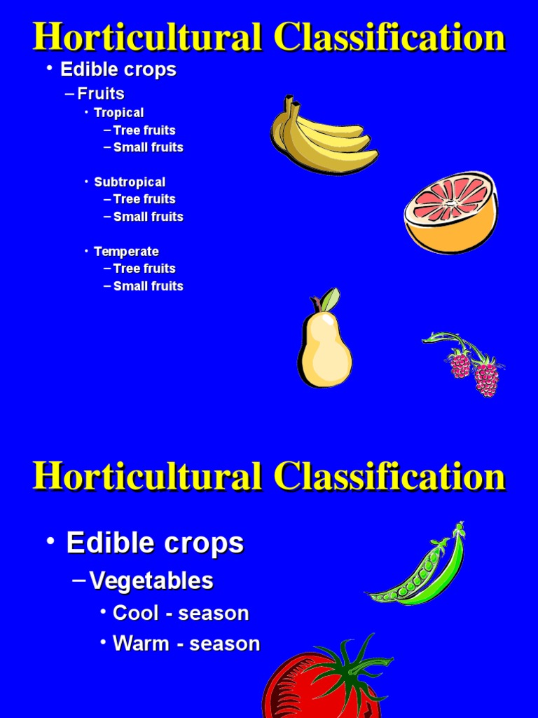 Horticultural Crop Classification | PDF