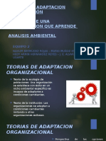 Teorias de Adaptacion Organización