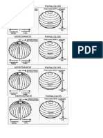 Paralelos y Meridianos