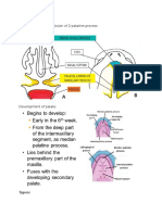 Cleft Palate: Causes, Types, Effects & Repair