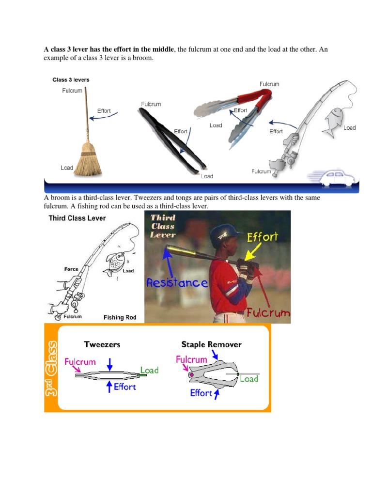 Class3 Lever | PDF | Lever | Primate Anatomy
