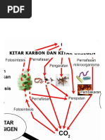 Kitar Karbon