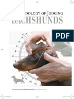 Dachshund-Methodology of Judging