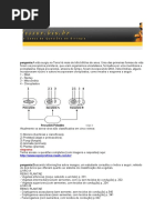 A vida  na Terra.docx