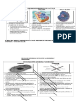 Funciones de Las Partes de La Célula