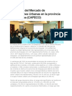 IV Estudio Del Mercado de Edificaciones Urbanas en La Provincia de Arequipa (Resumen CAPECO)