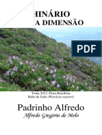 Padrinho Alfredo - Nova Dimensao - Grafica