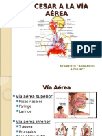 Accesar a La Vía Aérea