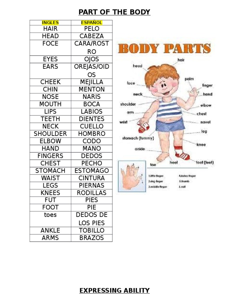 Body Parts and Ability Expressions | PDF | Language Arts & Discipline ...
