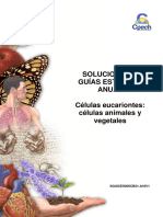 2016 Solucionario Guía 5 Células eucariontes. Células animales y vegetales.pdf
