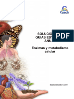 2016 Solucionario Guía 7 Enzimas y metabolismo celular.pdf