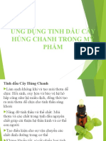 Ứng Dụng Tinh Dầu Cây Húng Chanh