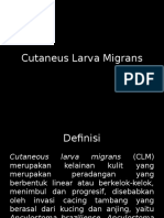 Cutaneus Larva Migrans