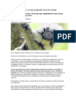 May. 10 - 14 Colombia - Pierde El 92 Por Ciento de Bosques