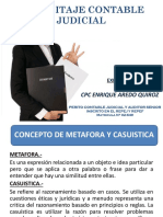 EXPOSICION PERICIA CONTABLE - CPC. ENRIQUE AREDO QUIROZ.pdf