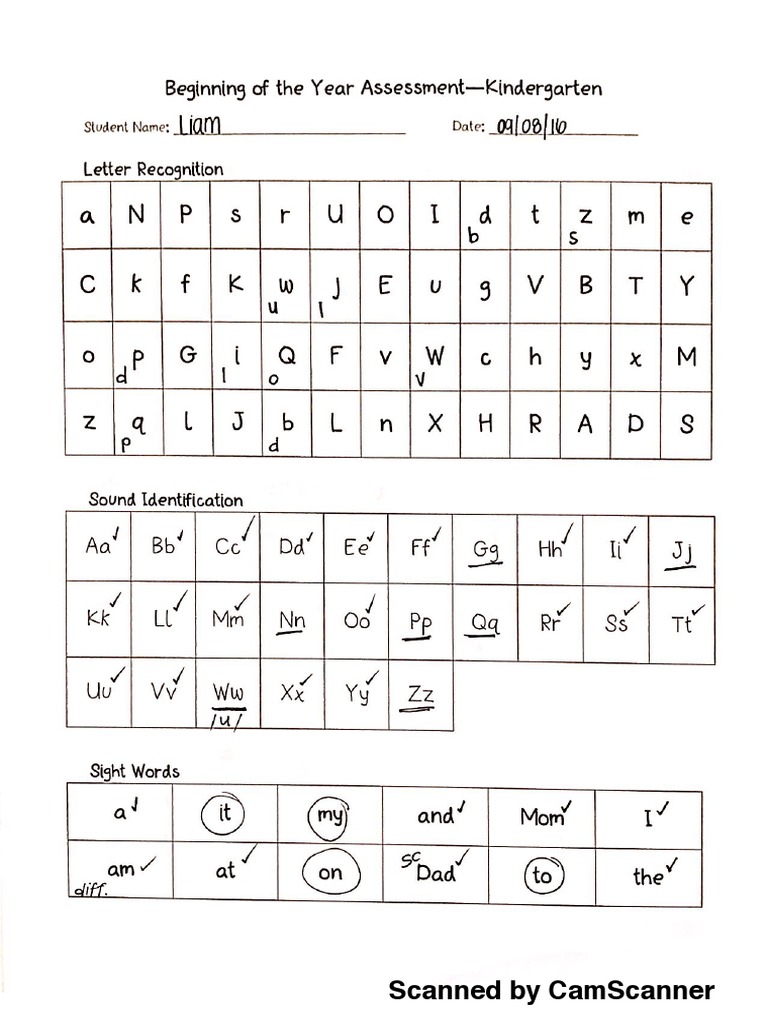 K Assessment | PDF