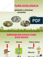 Avicultura Ecologica