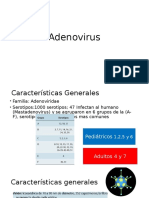 Adenovirus 1