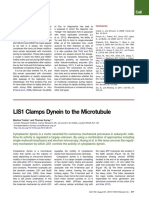 LIS1 Clamps Dynein To The Microtubule: Lo Et Al., 2012