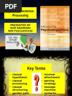 Psycholinguistics