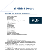 Mitica Detot-Japonia, Un Miracol Perpetuu 06