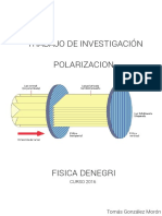 polarizacion.pdf
