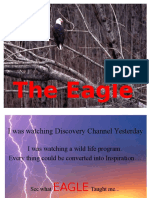 The Eagle