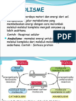 Metabolisme Sel Dan Siklus Sel