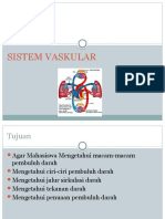 Sistem Vaskular