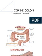 Cáncer de Colon