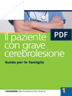 Il Paziente Con Grave Cerebrolesione