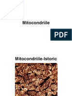 Mitocondrii 