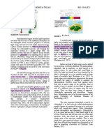 Apolonio, Carangian, Sanchez & Tiglao Bio 150 Lec 2: SLIDE 00: Photosynthesis Slide 2