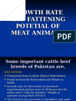 Growth Rate and Fattening Potetial of Meat Animals