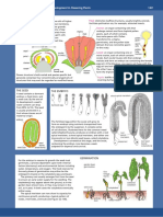 Flower Development