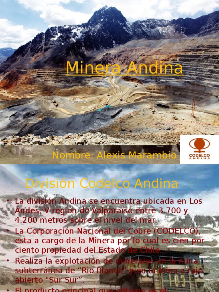 Minera Andina | PDF | Minería | Cobre