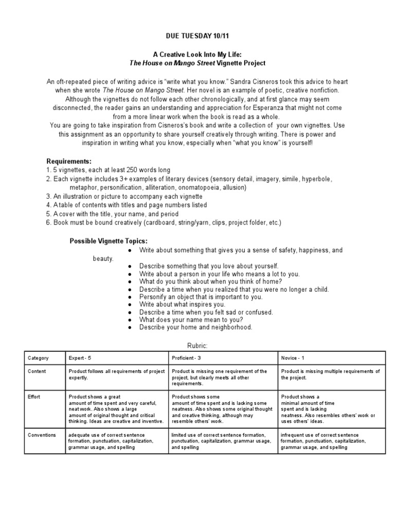 Vignette Project Inspired by Cisneros | PDF | Cognition | Writing