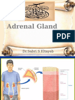 Adrenal Gland: DR - Sabri.S.Eltayeb