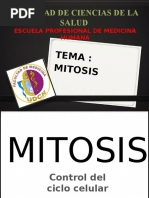Mitosis