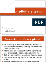 Posterior Pituitary Gland Presentation - para