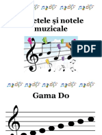 Sunetele Si Notele Muzicale