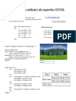 Exemple de Utilizări Ale Tagurilor HTML