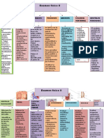 Imagenes Del Examen Fisico