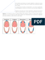 Dientes