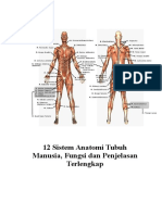 12 Sistem Anatomi Tubuh Manusia